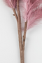 Old Pink Flower Decors M (6) | Bold Monkey I Will Never Fade | DutchFurniture.com