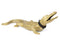 Gold Aligator Statue XXL | Bold Monkey Star | DutchFurniture.com