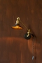 Modern Classic Wall Lamp | Dutchbone Penelope | Dutchfurniture.com