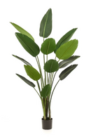 Potted Faux Houseplant Set (2) | Emerald Strelitzia | Dutchfurniture.com