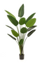 Potted Faux Houseplant Set (2) | Emerald Strelitzia | Dutchfurniture.com