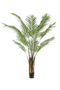 Artificial Tropical Plant Decor Set (2) | Emerald Areca | Dutchfurniture.com