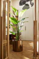 Faux Bird of Paradise Plant Set (2) | Emerald Strelitzia | Dutchfurniture.com