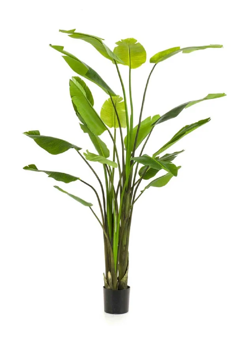 Faux Bird of Paradise Plant Set (2) | Emerald Strelitzia | Dutchfurniture.com