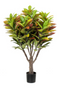 Artificial Colorful-Leaved Plant Set (2) | Emerald Croton | Dutchfurniture.com