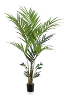 Artificial Tropical Palm Set (2) | Emerald Kentia | Dutchfurniture.com