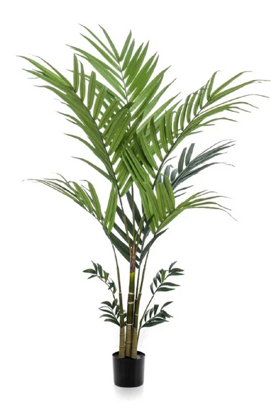 Artificial Tropical Palm Set (2) | Emerald Kentia