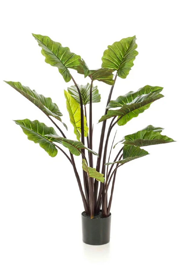 Artifical Tropical Plant Set (2) | Emerald Colocasia | Dutchfurniture.com
