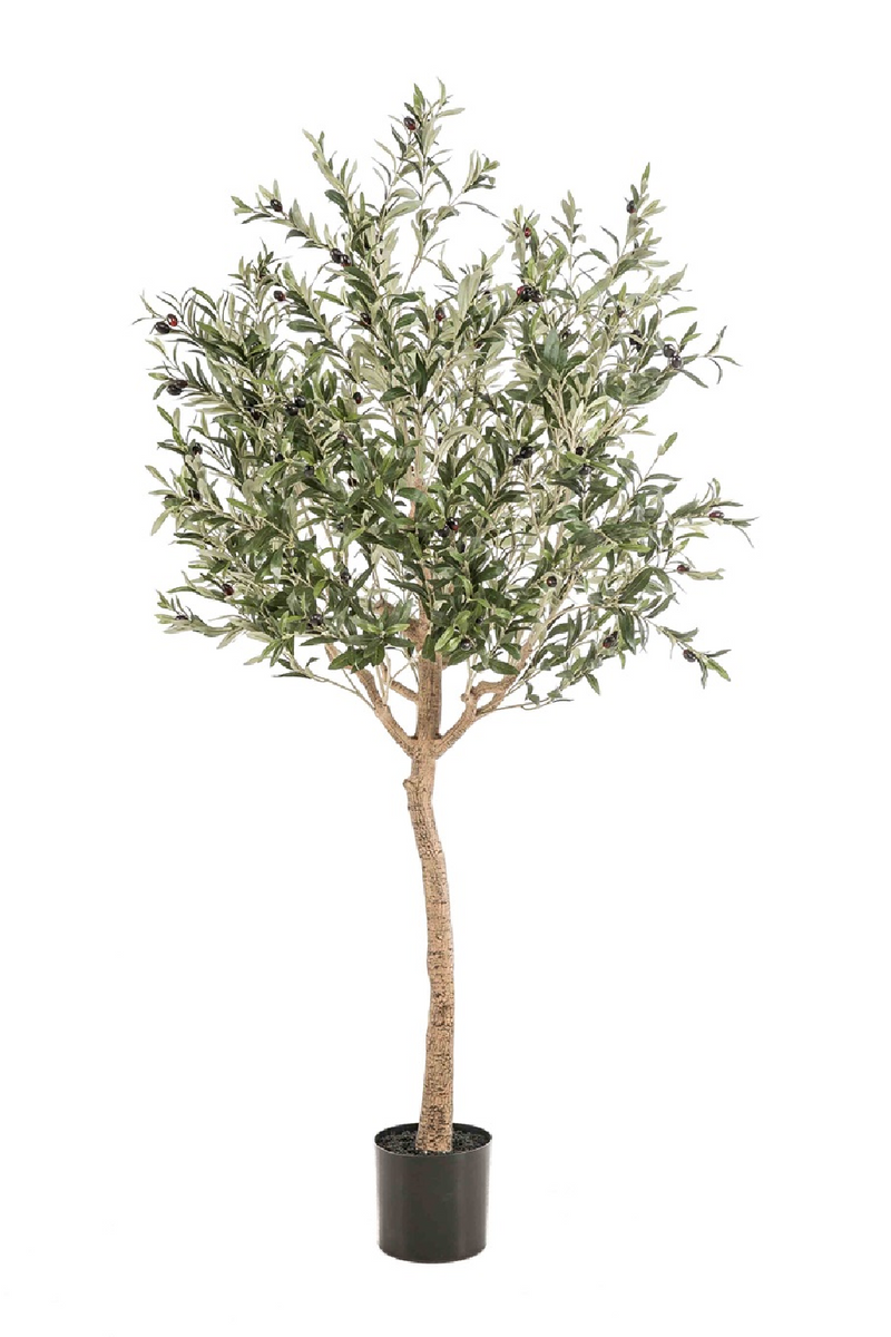 Faux Mediterranean Evergreen Tree Set (2) | Emerald Olive | Dutchfurniture.com