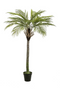 Artificial Date Tree Set (2) | Emerald Phoenix Palm Deluxe | Dutchfurniture.com
