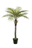 Artificial Date Tree | Emerald Phoenix Palm Deluxe | Dutchfurniture.com