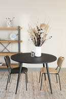 Lacquered Wood Dining Chairs (2) | DF Aspen | Dutchfurniture.com