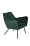Green Velvet Accent Chair | DF Bon | Dutchfurniture.com