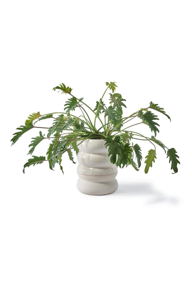 Glazed Stoneware Plant Pot (2) | Pols Potten Chubby | Dutchfurniture.com