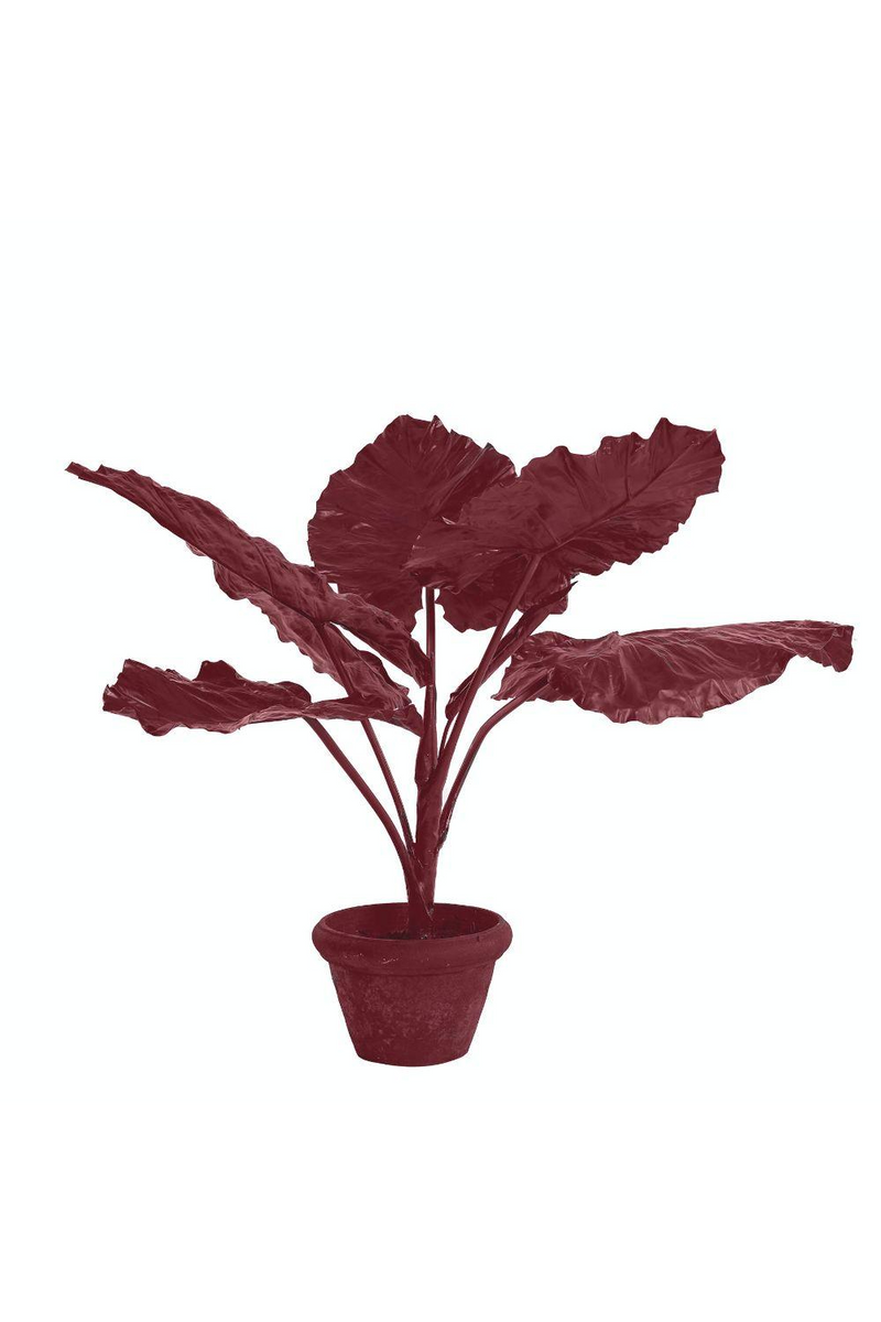 Dark Red Decorative Plant | Pols Potten Taro In Pot | Oroatrade.com