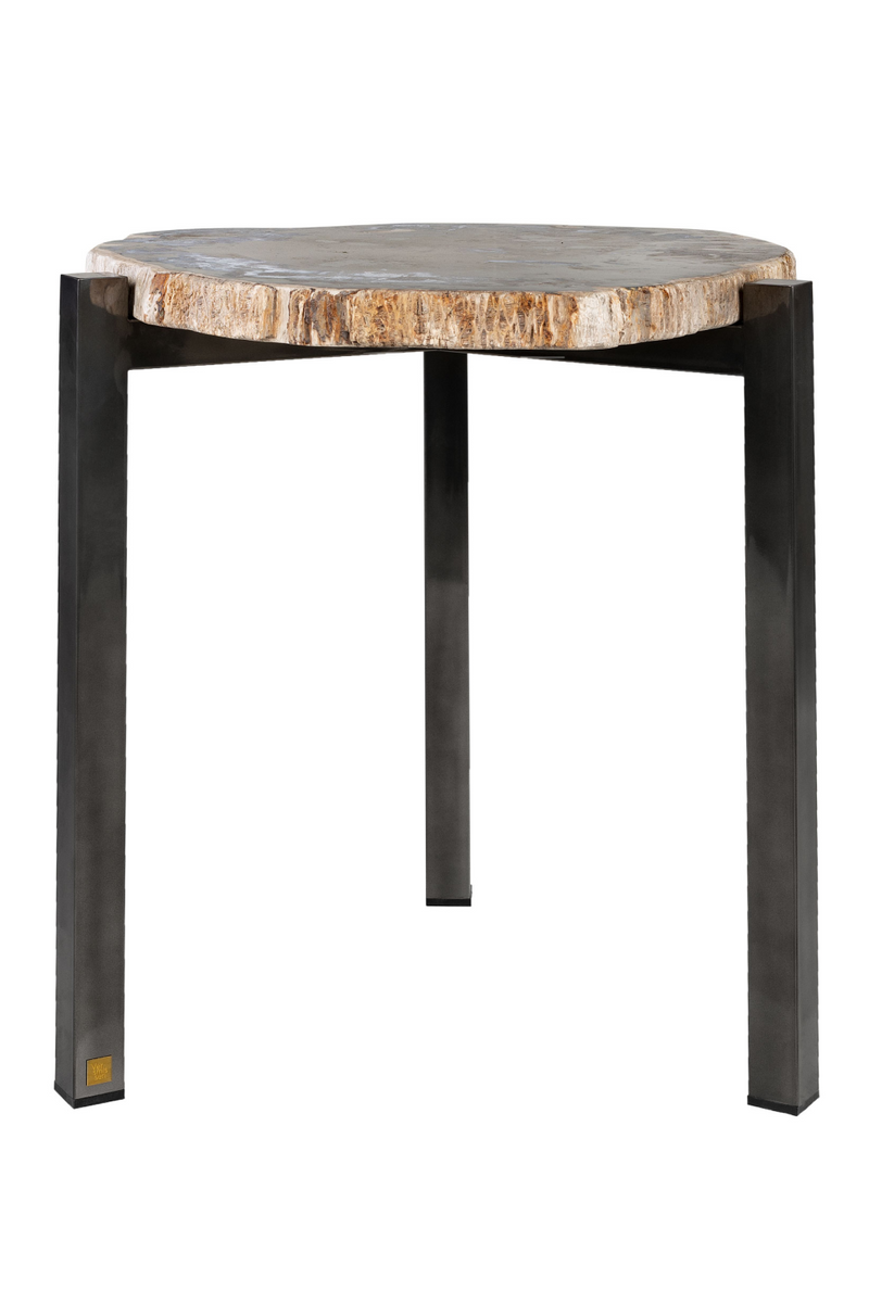 Petrified Wood Occasional Table | Versmissen | Dutchfurniture.com