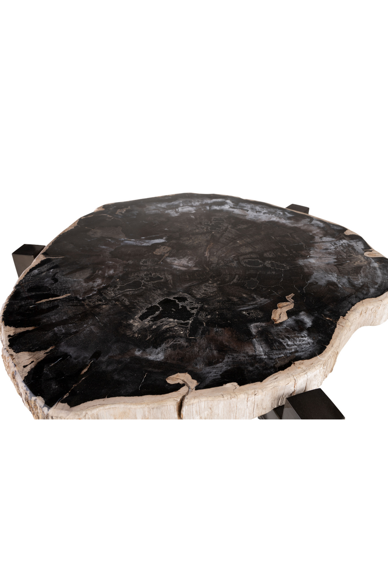 Petrified Wood Occasional Table | Versmissen | Dutchfurniture.com