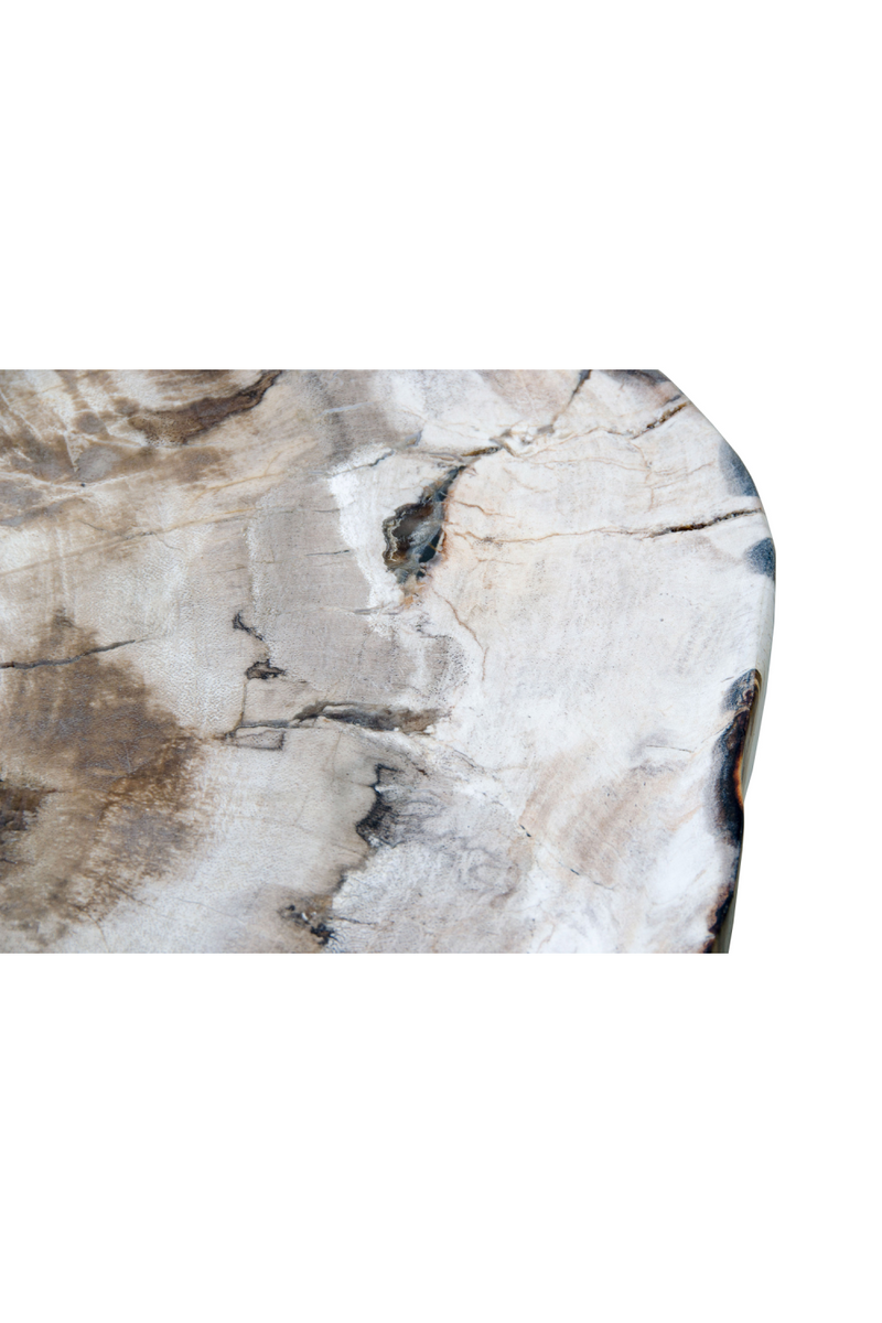 Petrified Wood Coffee Table | Versmissen | Dutchfurniture.com