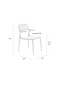 Modern Dining Armchair Set (2) | Zuiver Alba | Dutchfurniture.com