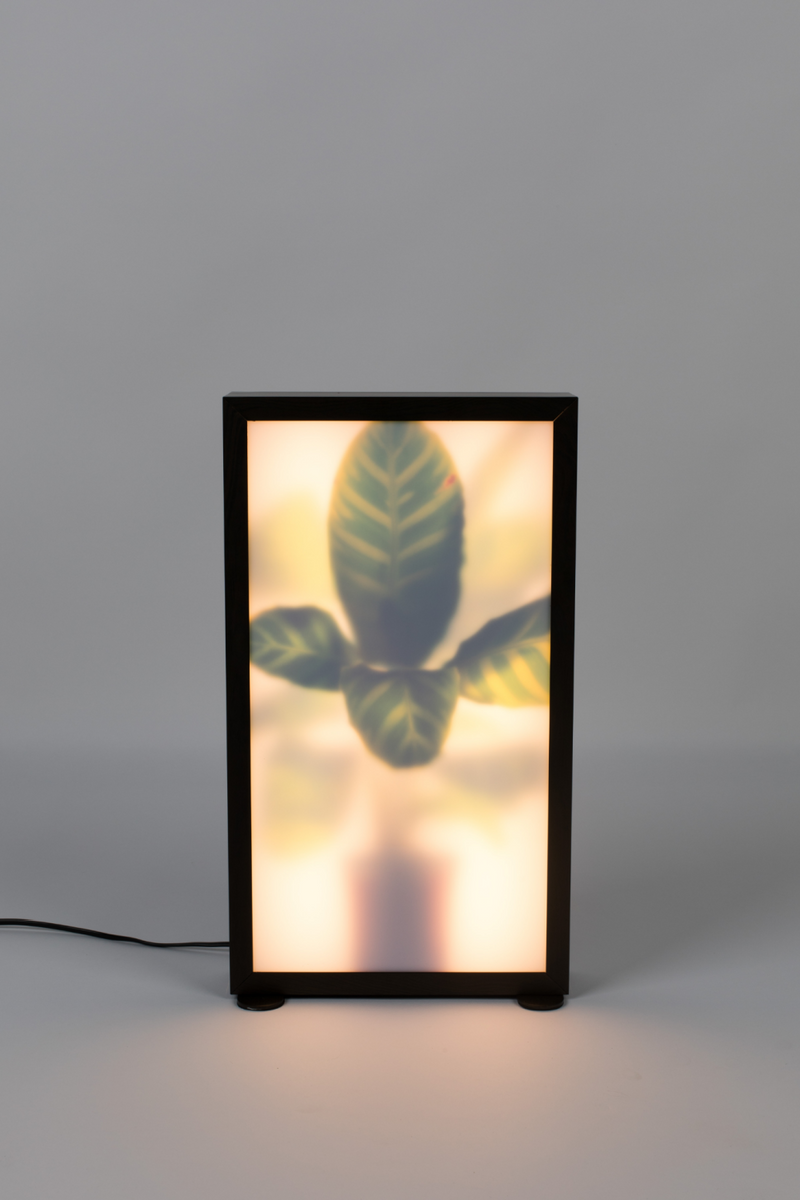 Houseplant Glass Floor Lamp M | Zuiver Grow | DutchFurniture.com