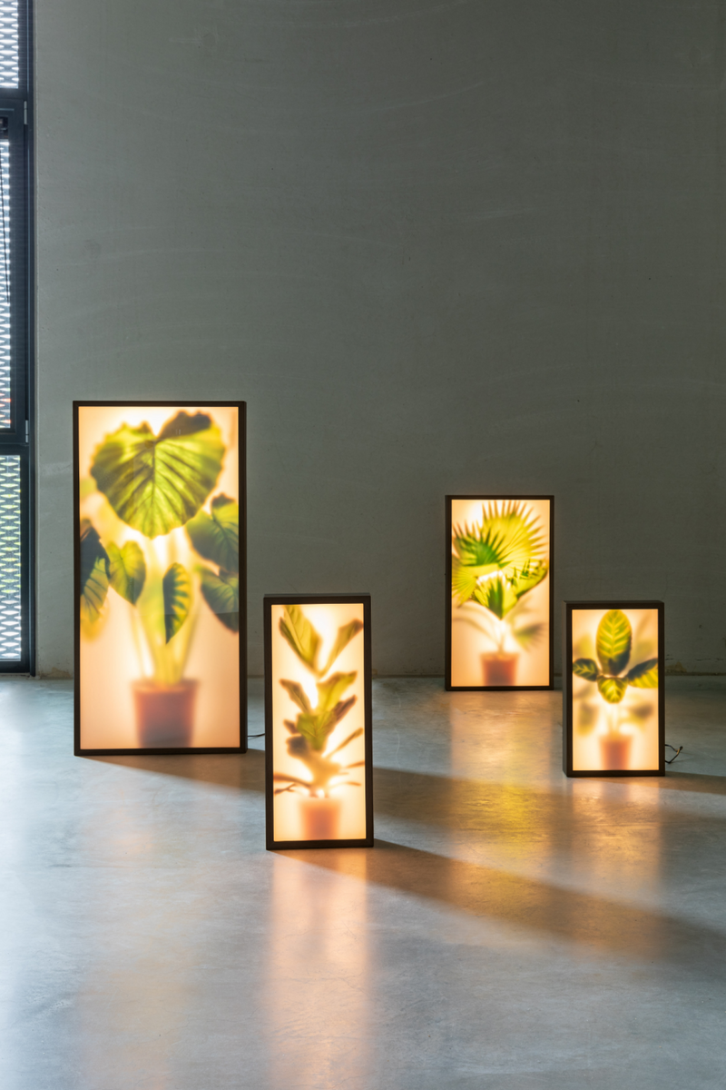 Houseplant Glass Floor Lamp XL | Zuiver Grow | DutchFurniture.com
